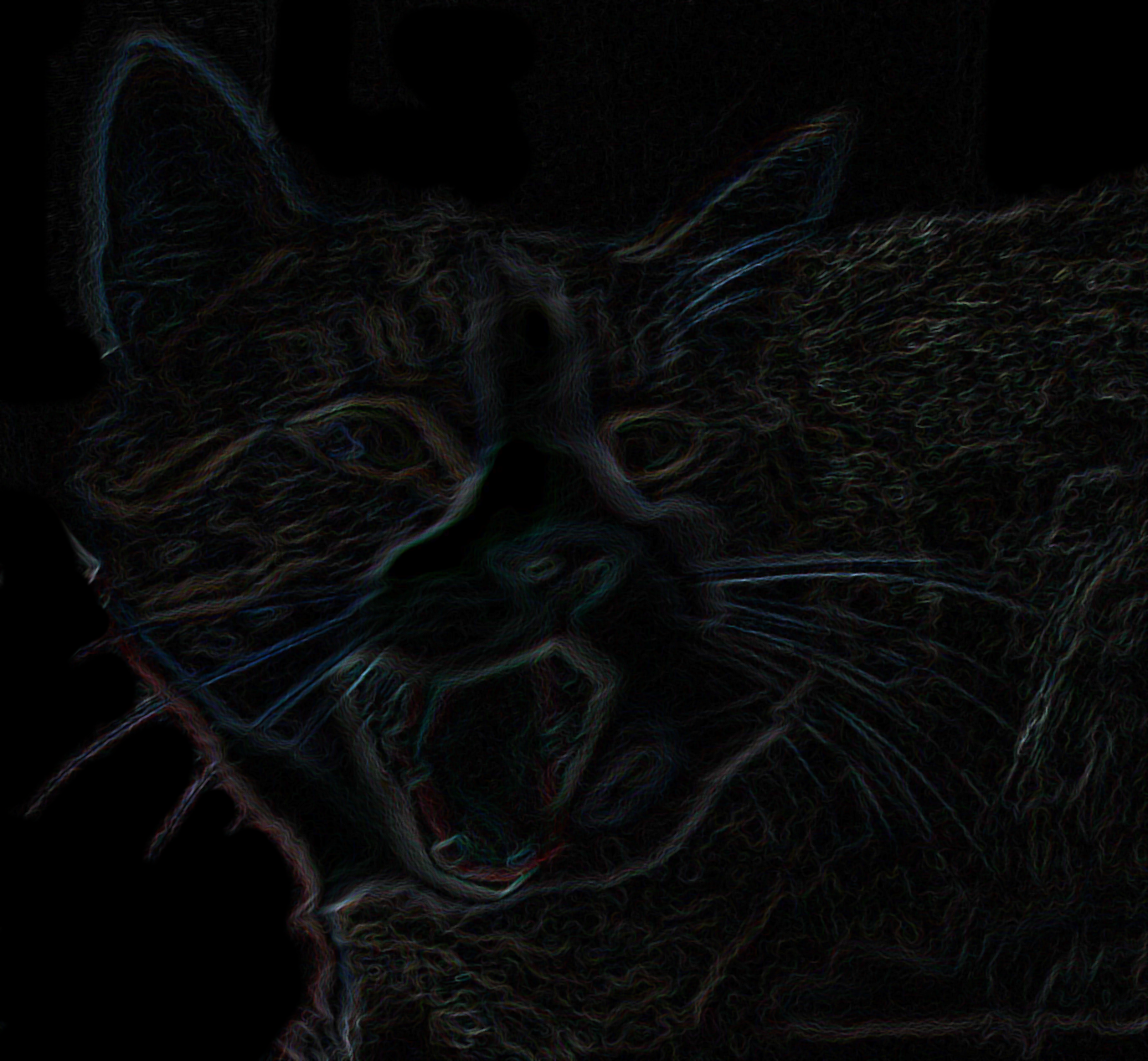 gato-web-logo-nuevo-2